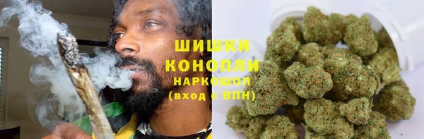 первитин Богданович