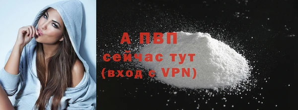 Альфа ПВП Богородск