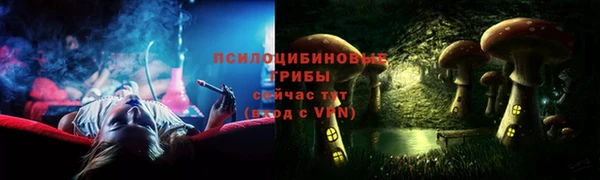 первитин Богданович
