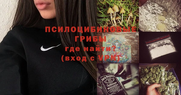 первитин Богданович