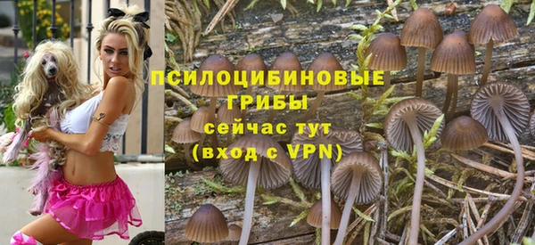 Альфа ПВП Богородск