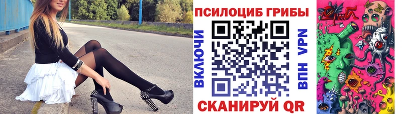 Псилоцибиновые грибы прущие грибы  Коммунар 